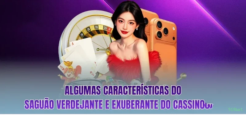 Programa VIP 919bet